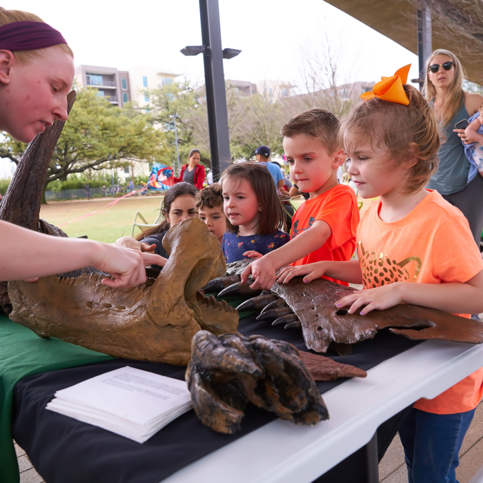 Houston Museum of Natural Science - Levy Park
